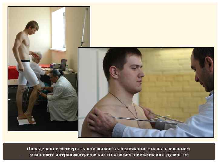 32 Определение размерных признаков телосложения с использованием комплекта антропометрических и остеометрических инструментов 