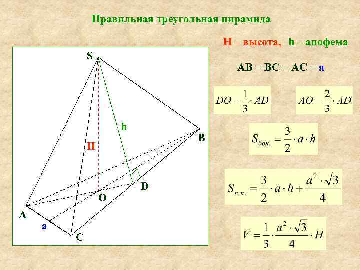 Правильная треугольная пирамида H – высота, h – апофема S AB = BC =