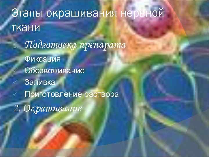 Этапы окрашивания нервной ткани 1. Подготовка препарата Фиксация ü Обезвоживание ü Заливка ü Приготовление