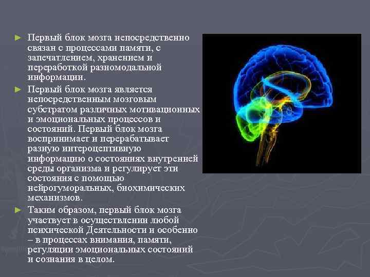 Энергетический блок мозга блок регуляции тонуса и бодрствования презентация