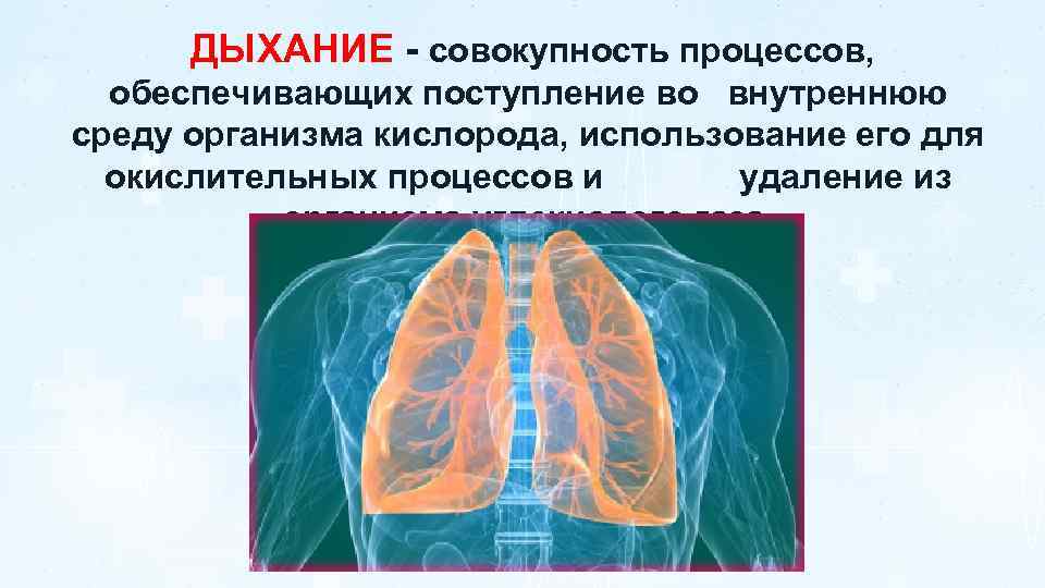 Дыхание и среда организма. Дыхание это совокупность процессов. Процессы обеспечивающие дыхание. Дыхание это совокупность процессов обеспечивающих потребление. Биомеханика дыхания презентация.