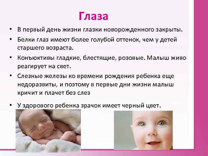 Глаза • В первый день жизни глазки новорожденного закрыты. • Белки глаз имеют более