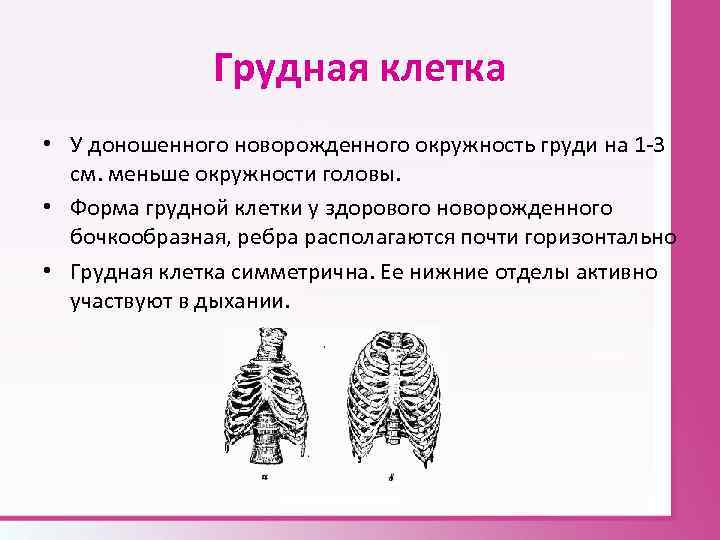 Грудная клетка • У доношенного новорожденного окружность груди на 1 3 см. меньше окружности