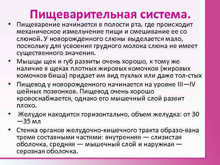 Пищеварительная система. • Пищеварение начинается в полости рта, где происходит механическое измельчение пищи и