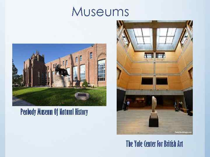 Museums Peabody Museum Of Natural History The Yale Center For British Art 