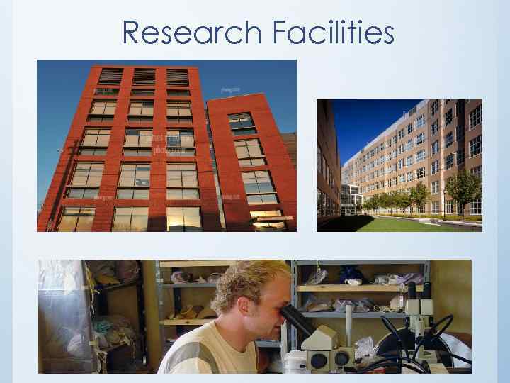 Research Facilities 