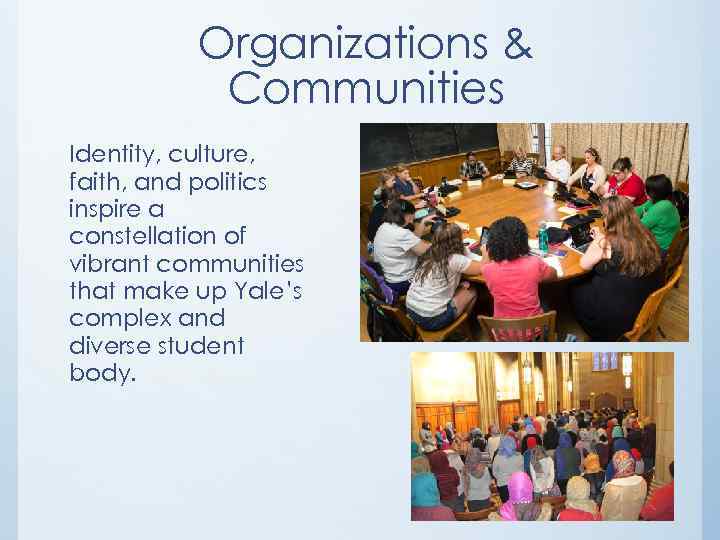 Organizations & Communities Identity, culture, faith, and politics inspire a constellation of vibrant communities
