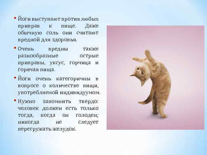  • Йоги выступают против любых приправ к пище. Даже обычную соль они считают