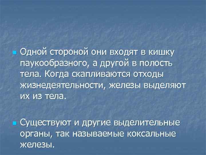 n n Одной стороной они входят в кишку паукообразного, а другой в полость тела.
