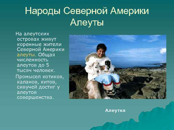 Народы Северной Америки Алеуты На алеутских островах живут коренные жители Северной Америки алеуты. Общая