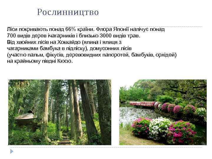 Рослинництво Ліси покривають понад 66% країни. Флора Японії налічує понад 700 видів дерев ічагарників