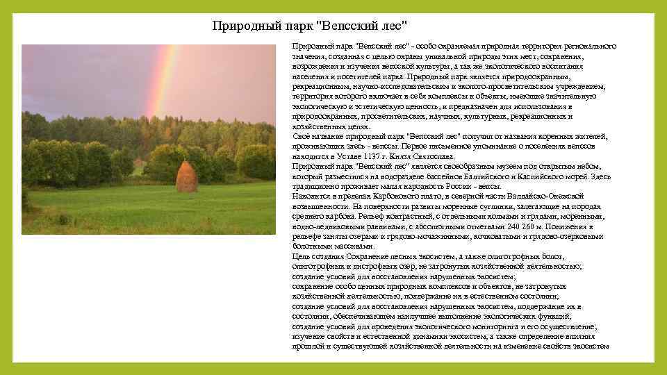 Природный парк "Вепсский лес" - особо охраняемая природная территория регионального значения, созданная с целью