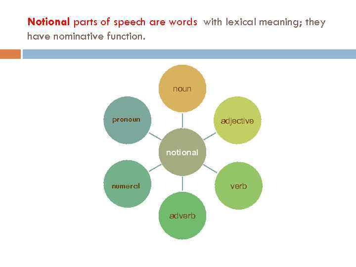 Notional parts of speech are words with lexical meaning; they have nominative function. noun