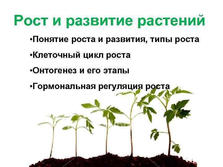Процессы в жизни растений 5 класс биология