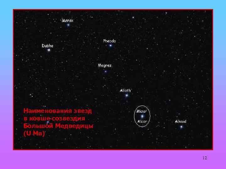 Наименования звезд в ковше созвездия Большой Медведицы (U Ma) 12 