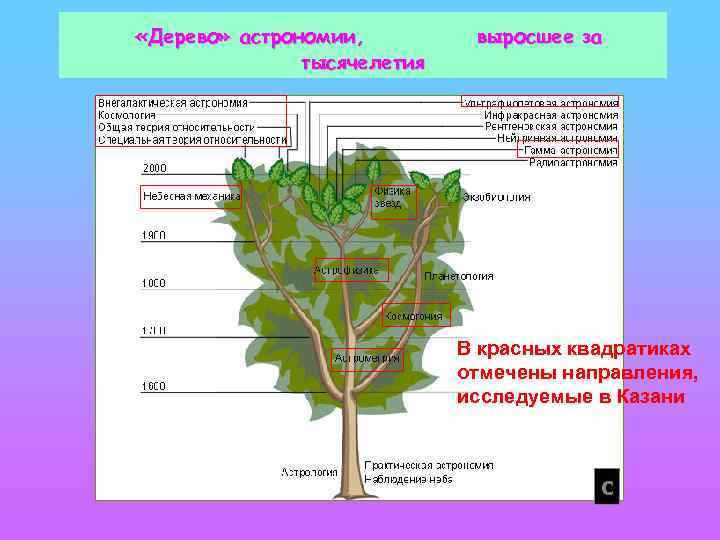  «Дерево» астрономии, тысячелетия выросшее за В красных квадратиках отмечены направления, исследуемые в Казани
