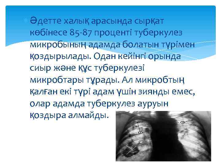  Әдетте халық арасында сырқат көбінесе 85 -87 проценті туберкулез микробының адамда болатын түрімен