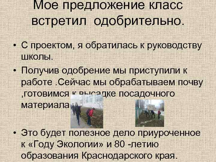 Мое предложение класс встретил одобрительно. • С проектом, я обратилась к руководству школы. •