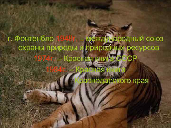 г. Фонтенбло 1948 г. – международный союз охраны природы и природных ресурсов 1974 г.