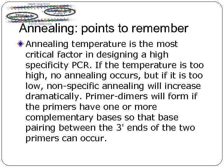 Primer 1 Primer 2 Annealing: points to remember Annealing temperature is the most critical