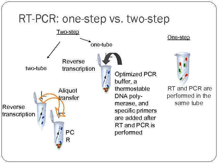 RT-PCR: one-step vs. two-step Two-step One-step one-tube two-tube Reverse transcription Aliquot transfer Reverse transcription