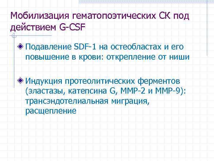 Мобилизация гематопоэтических СК под действием G-CSF Подавление SDF-1 на остеобластах и его повышение в