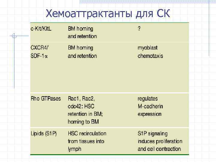 Хемоаттрактанты для СК 