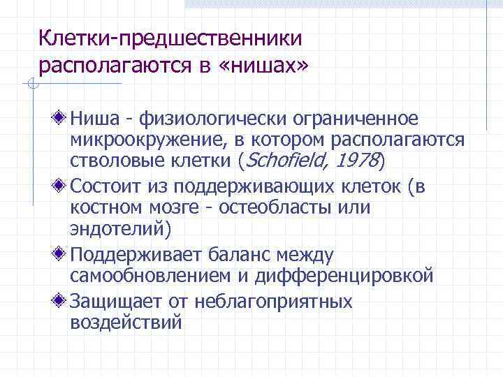 Клетки-предшественники располагаются в «нишах» Ниша - физиологически ограниченное микроокружение, в котором располагаются стволовые клетки