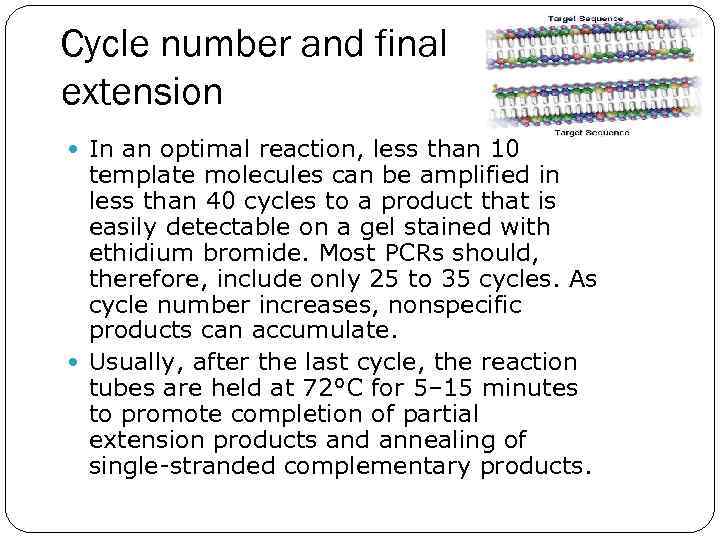 Cycle number and final extension In an optimal reaction, less than 10 template molecules