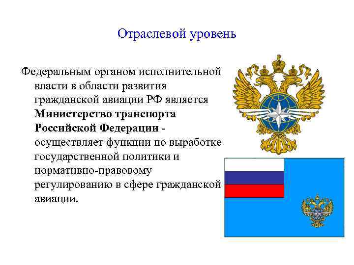 Отраслевой уровень Федеральным органом исполнительной власти в области развития гражданской авиации РФ является Министерство