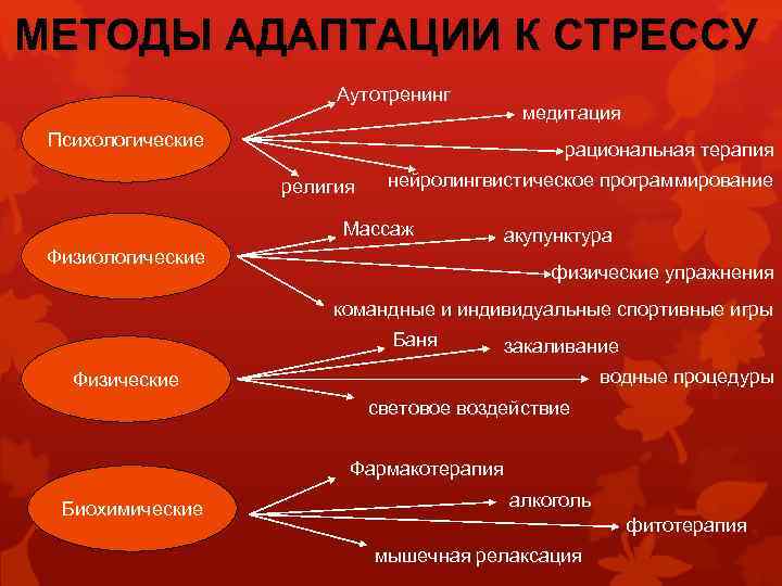 Влияние адаптации. Методы адаптации к стрессу. Способы адаптации к стрессору. Механизмы адаптации к стрессу. Методы адаптации человека.