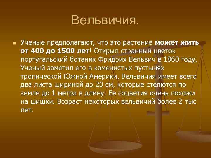 Вельвичия. n Ученые предполагают, что это растение может жить от 400 до 1500 лет!