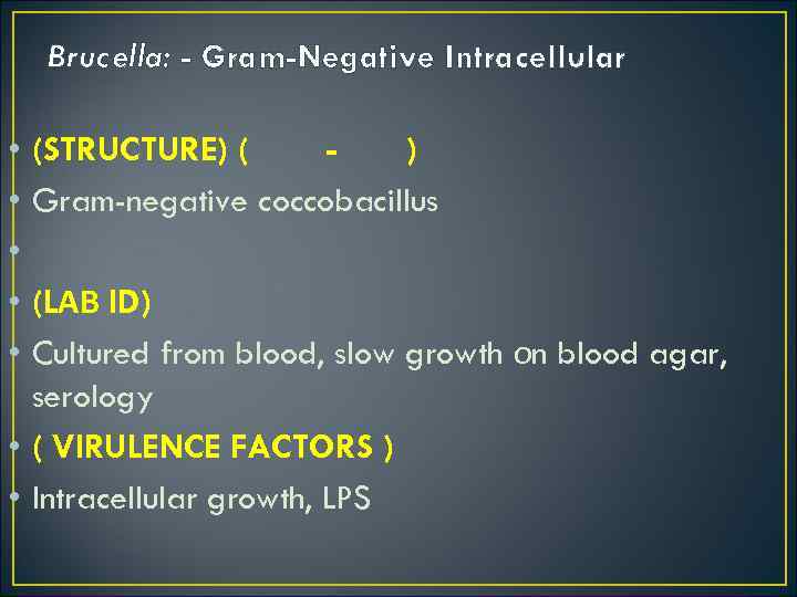 Brucella: - Gram-Negative Intracellular • • • (STRUCTURE) ( ) Gram-negative coccobacillus (LАВ ID)