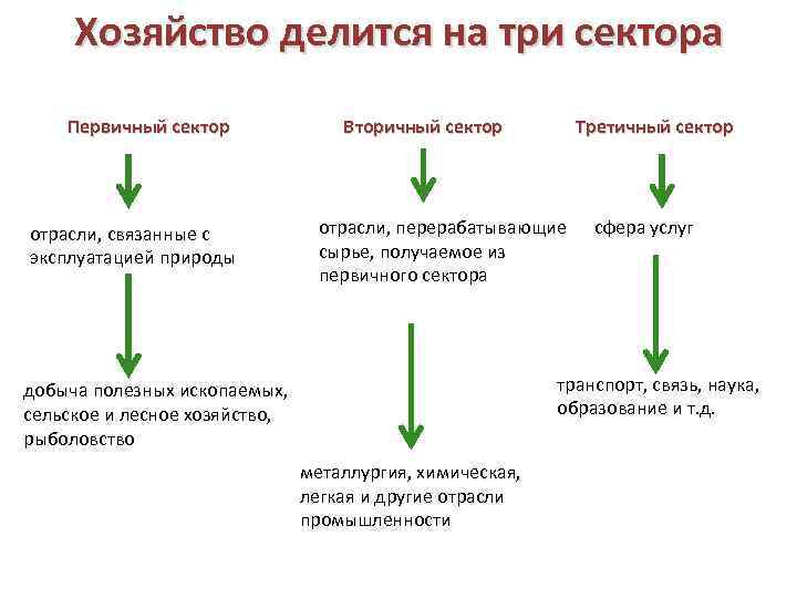 Хозяйство делится на три сектора Первичный сектор отрасли, связанные с эксплуатацией природы Вторичный сектор