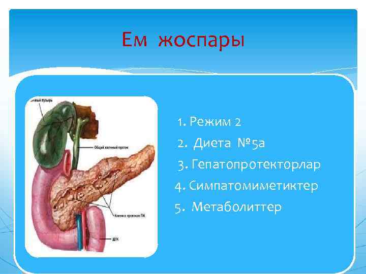 Ем жоспары 1. Режим 2 2. Диета № 5 а 3. Гепатопротекторлар 4. Симпатомиметиктер