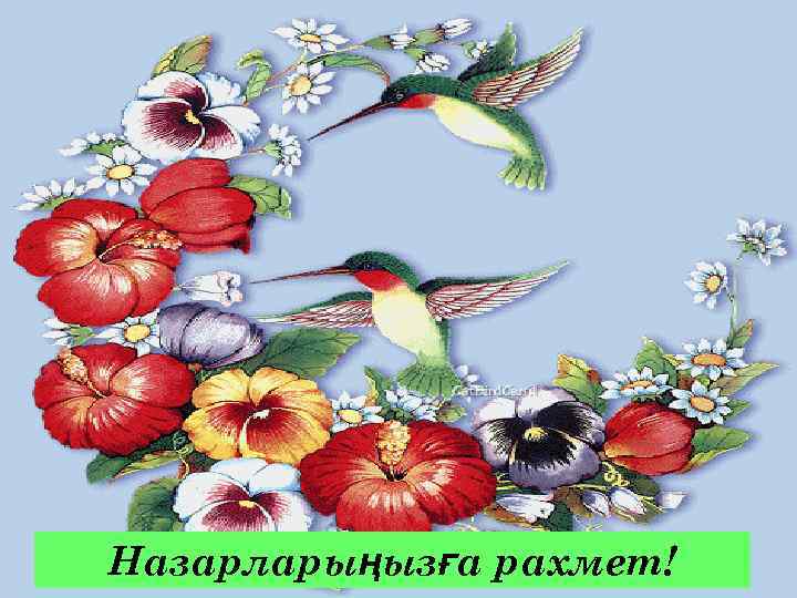 Назарларыңызға рахмет! 