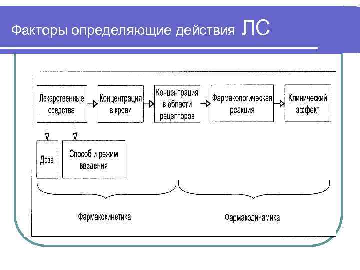 Факторы определяющие действия ЛС 