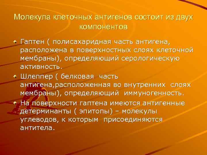 Молекула клеточных антигенов состоит из двух компонентов Гаптен ( полисахаридная часть антигена, расположена в
