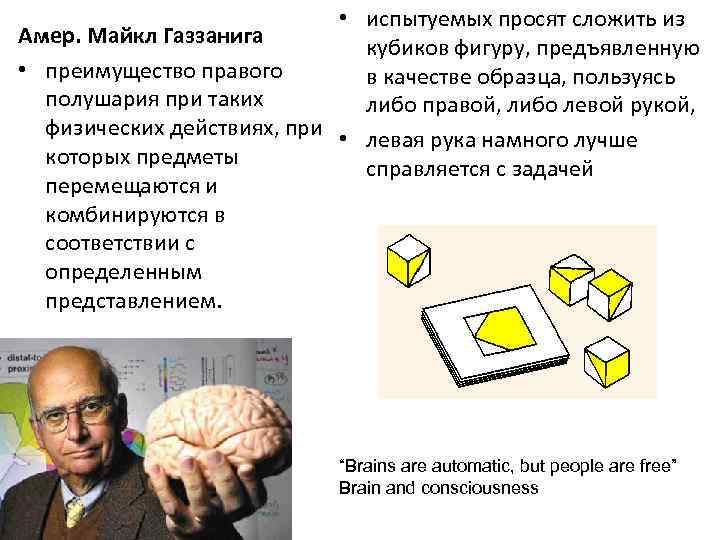  • испытуемых просят сложить из Амер. Майкл Газзанига кубиков фигуру, предъявленную • преимущество