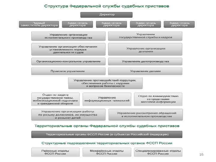 Фото правоохранительные органы россии