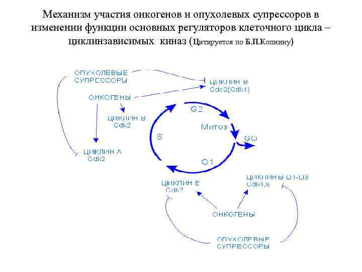 Роль анамнеза в составлении схемы дизонтогенеза