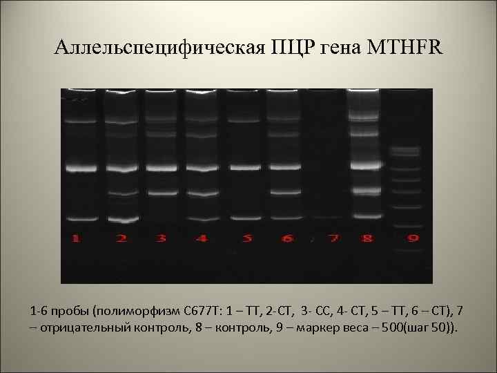 Отрицательный контроль