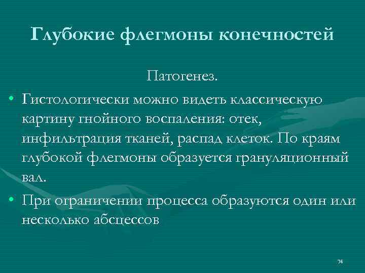 Глубокие флегмоны конечностей Патогенез. • Гистологически можно видеть классическую картину гнойного воспаления: отек, инфильтрация