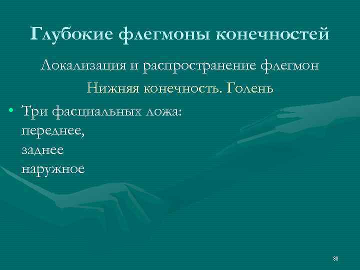 Глубокие флегмоны конечностей Локализация и распространение флегмон Нижняя конечность. Голень • Три фасциальных ложа: