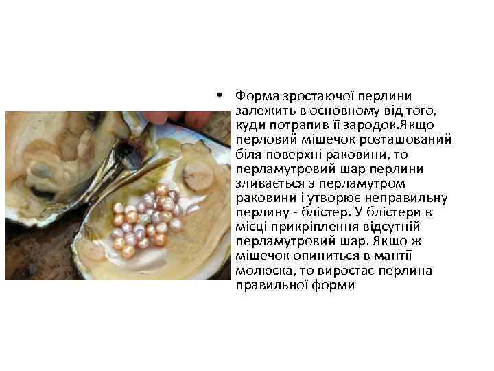  • Форма зростаючої перлини залежить в основному від того, куди потрапив її зародок.