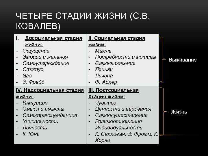 4 стадии человека