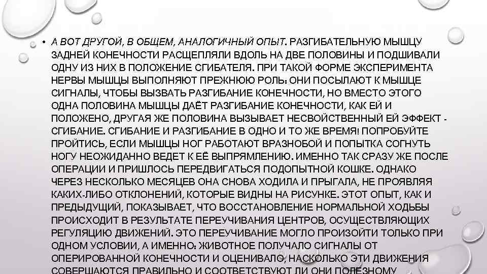  • А ВОТ ДРУГОЙ, В ОБЩЕМ, АНАЛОГИЧНЫЙ ОПЫТ. РАЗГИБАТЕЛЬНУЮ МЫШЦУ ЗАДНЕЙ КОНЕЧНОСТИ РАСЩЕПЛЯЛИ