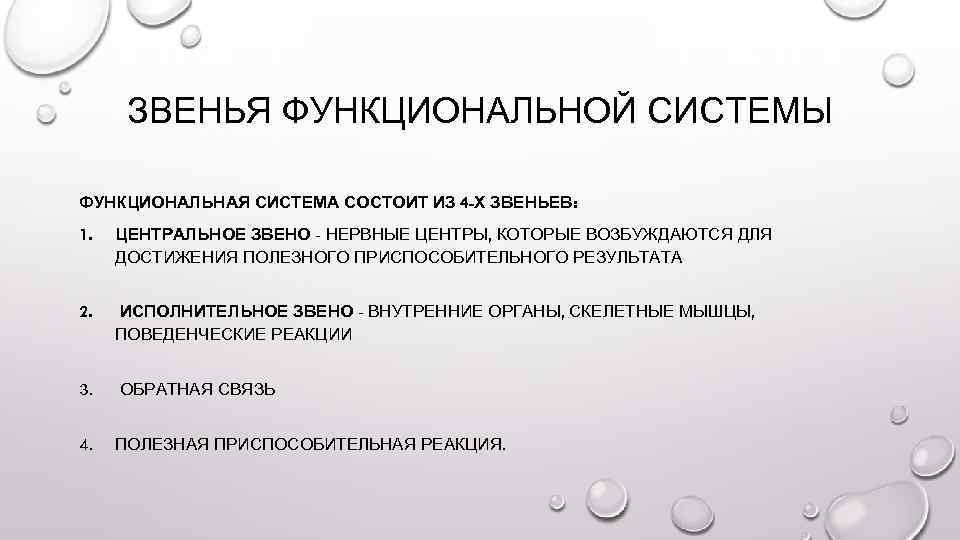 Звенья системы. Звенья функциональной системы. Функциональные звенья функциональной системы. Функциональная система состоит из. Функциональные звенья в структуре.