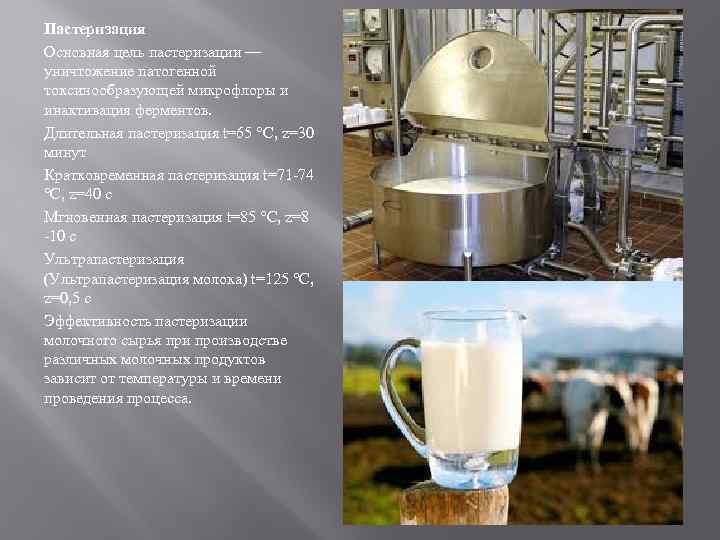 Пастеризация Основная цель пастеризации — уничтожение патогенной токсинообразующей микрофлоры и инактивация ферментов. Длительная пастеризация