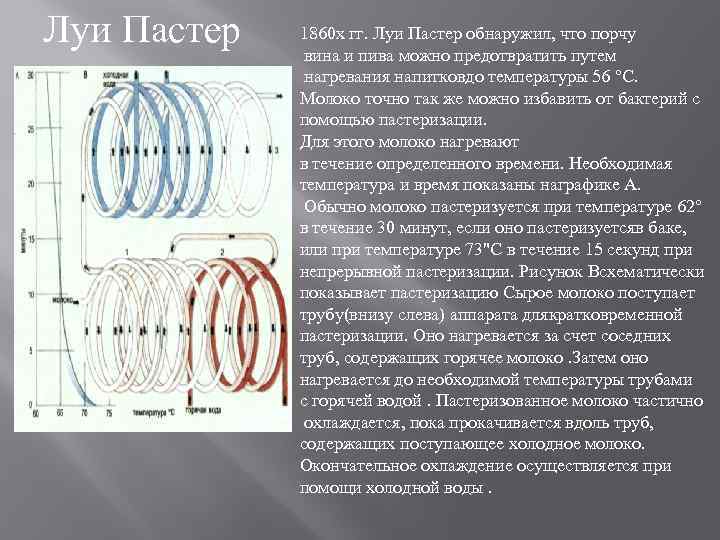 Луи Пастер 1860 х гг. Луи Пастер обнаружил, что порчу вина и пива можно